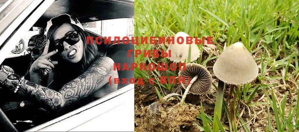 прущие крисы Абинск