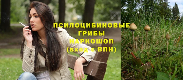 прущие крисы Абинск