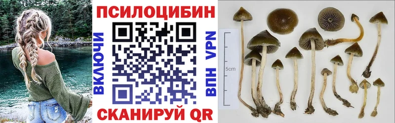 Псилоцибиновые грибы ЛСД цена Поворино