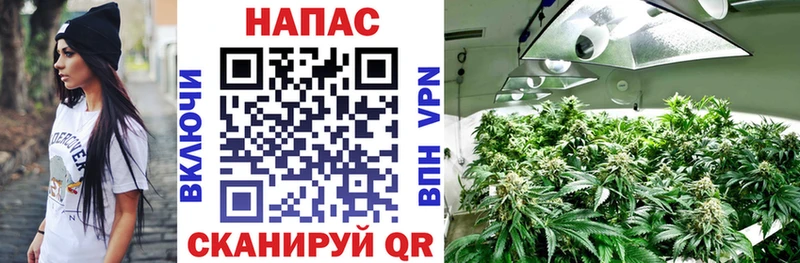 Марихуана White Widow купить цена Поворино